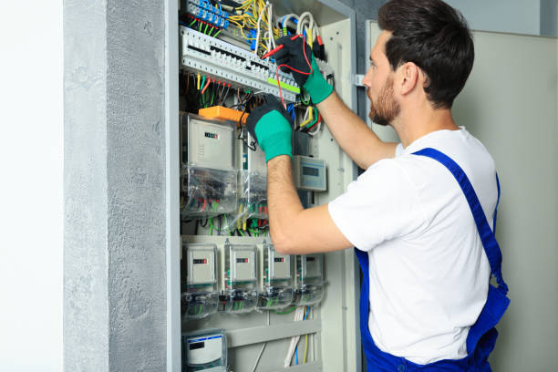 Best Local Electrician Companies  in Blasdell, NY