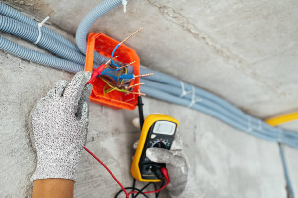 Best Affordable Electrician  in Blasdell, NY